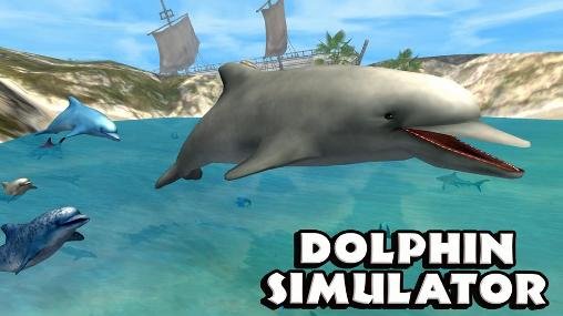 game pic for Dolphin simulator